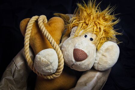 Selective colour. Noise. Grain. Lion doll with a bone ball in the sackの写真素材