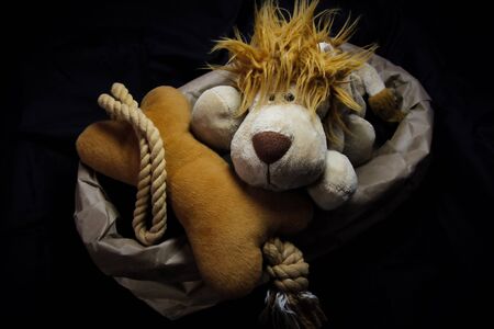 Selective colour. Noise. Grain. Lion doll with a bone ball in the sackの写真素材