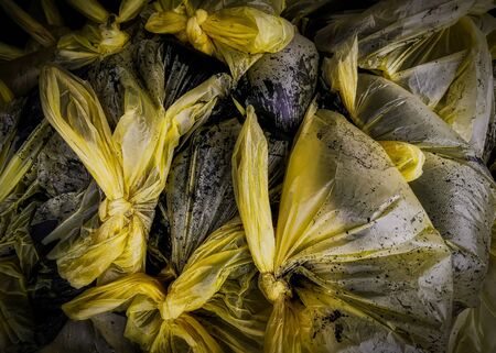 Soil inside the plasticの写真素材