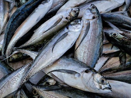 Fresh fish on ice at Super Marketの写真素材