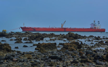 Coral rocks around the coast in the shipping areaの写真素材