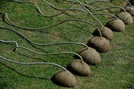 Coconut ball with rope on green grass background, Thailand.の写真素材