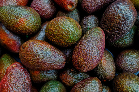 Heap of fresh avocados in a marketの写真素材