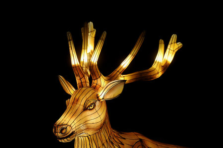 MALAYSIA, A VARIETY of unique lamp decoration designs attracted people to the Port Dickson International Lamp Festival held in Kampung Baru Sirusa, Port Dickson, on January 06,2023のeditorial素材