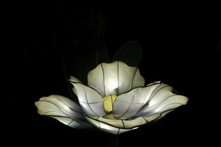 MALAYSIA, A VARIETY of unique lamp decoration designs attracted people to the Port Dickson International Lamp Festival held in Kampung Baru Sirusa, Port Dickson, on January 06,2023のeditorial素材