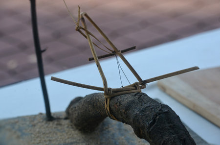 Design a replica animals Trap
