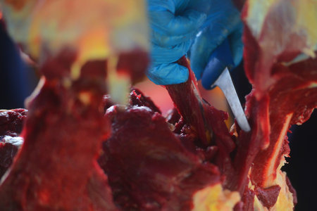 Beef cut into several pieces