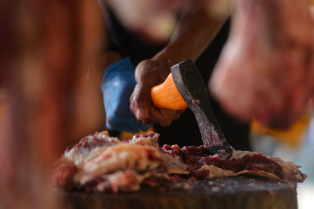 Beef cut into several piecesの写真素材