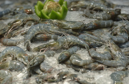 Pile of fresh shrimp sold at the supermarketの写真素材
