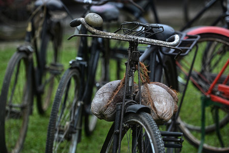 A wide variety of classic bicycle collectionsの写真素材