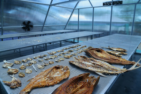 Producing dried fish from a solar drying dome system