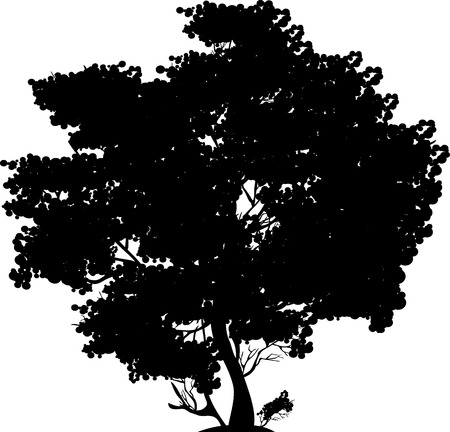 Black silhouette of the big tree with foliage on a white backgroundのイラスト素材