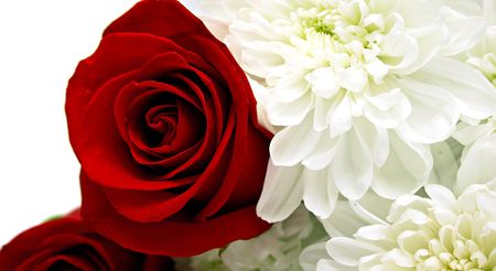 red roses and white chrysanthemumon. Shallow DOFの写真素材