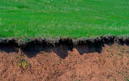 Edge of a ravine with clay soil and a meadow with a green grass. A natural backgroundの写真素材