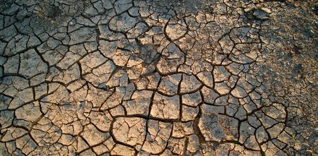 The dried up cracked earth. A background, shallow DOF