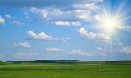 Green field on a background of the blue cloudy skyの写真素材