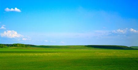 Beautiful green grass field texture and blue cloudy skyの写真素材