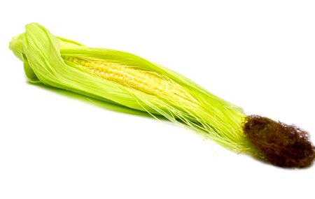 Freshly harvested corn on white background, close up. Isolation, shallow DOFの写真素材