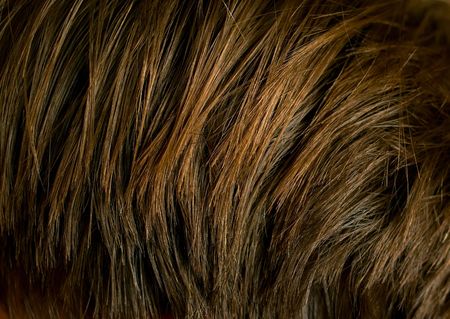 Hair texture. An abstract dark background. Shallow DOFの写真素材