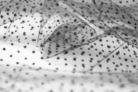 Black lace fabric on white. Abstract background, shallow DOFの写真素材
