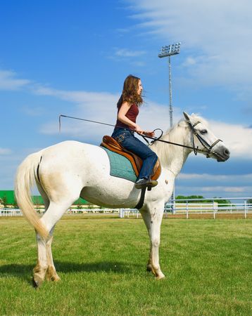 The young girl embraces a white horse against summer landscapeの写真素材