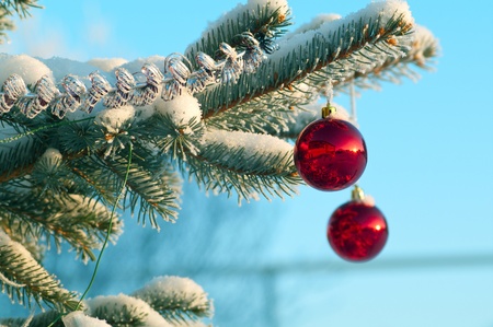 Beautiful toys on a branch of furtree. Shallow DOF の写真素材