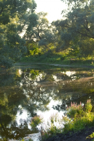 The landscape with forest lake. Shallow DOFの写真素材