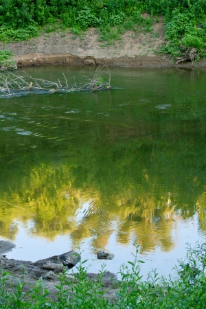 The landscape with forest lake. Shallow DOF の写真素材
