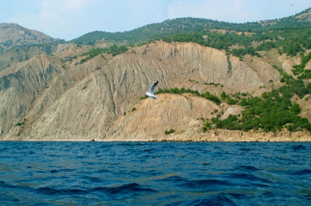 The beautiful south view with sea, mountain and seagullの写真素材