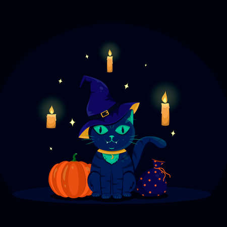 halloween kitten in witch hat, pumpkin, candles, stars vector image.のイラスト素材