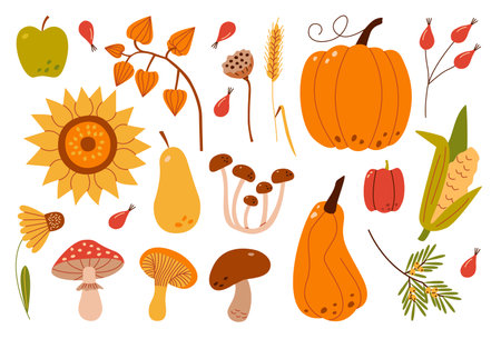 Autumn harvest set. Collection of ripe delicious vegetables, fresh fruits, berries, mushrooms, late flowers.のイラスト素材