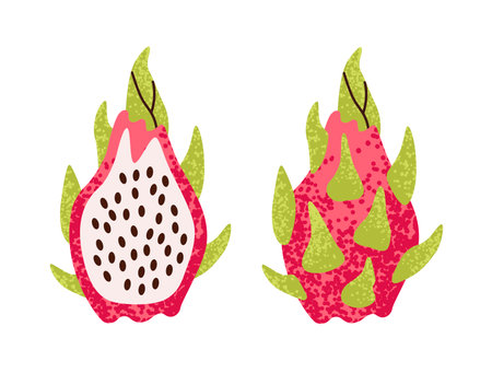 Summer tropical red dragon fruit, pitahaya. Whole fruit and half.のイラスト素材