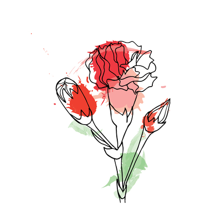 Black and white ink hand drawn watercolor vector carnationのイラスト素材