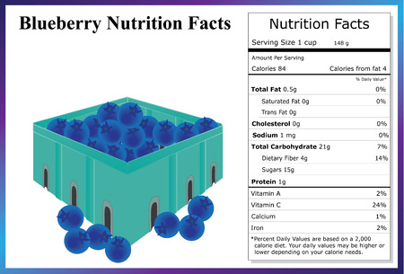 Blueberry Nutrition Factsのイラスト素材