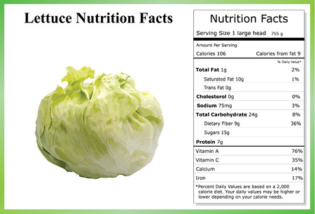 Lettuce Nutrition Factsのイラスト素材