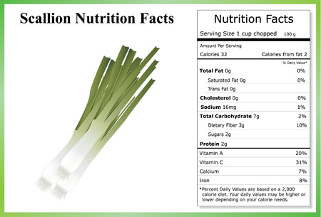 Scallion Nutrition Factsのイラスト素材