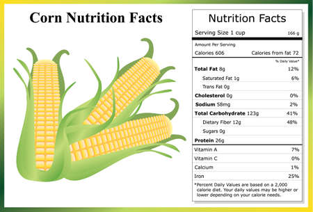 Corn Nutrition Factsのイラスト素材