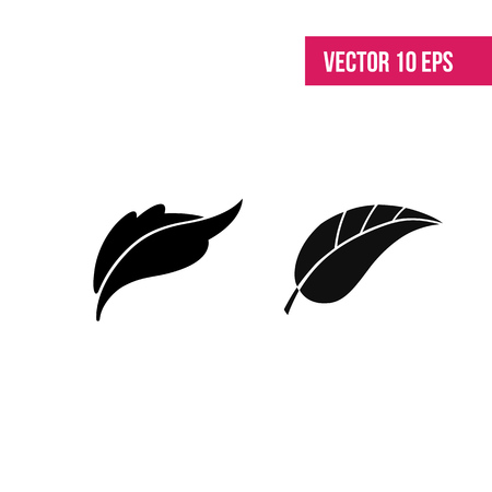Leaves vector set. Leaves isolated from the background. Collection black silhouettes of leaves. Leaves sign.  herbarium.のイラスト素材