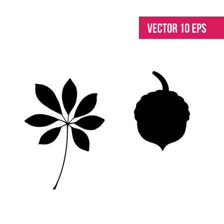 Leaf vector icon. Leaf isolated on white. 10 eps. foliage.のイラスト素材