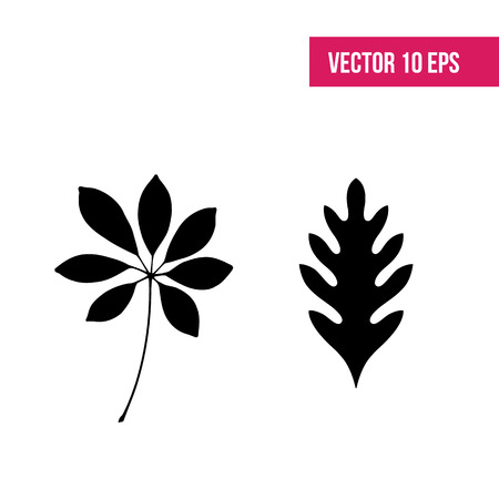 Leaves vector set. Leaves isolated from the background. Collection black silhouettes of leaves. Leaves sign.  herbarium.のイラスト素材