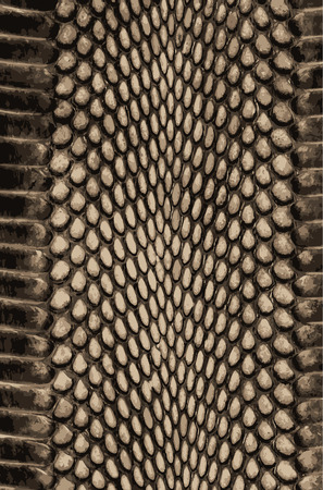 Snakeskin background texture. Stylish print. Trendy abstract background. Texture snake.のイラスト素材