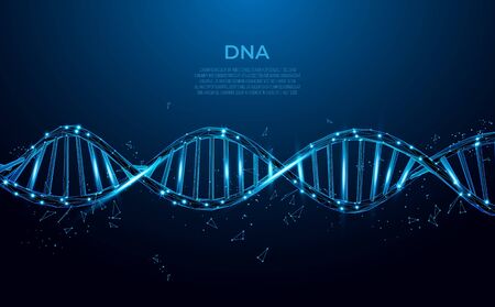 DNA. Abstract 3d polygonal wireframe DNA molecule. Medical science, genetic biotechnology, chemistry biology, gene cell concept vector illustration or background. innovation technology conceptのイラスト素材