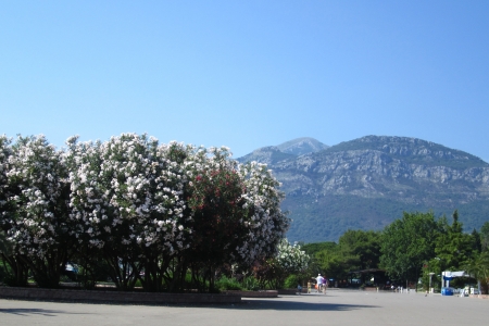 Montenegro Adriatic sea coastlineの写真素材