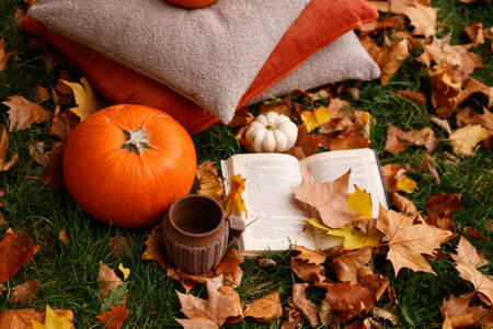 Cozy autumn still life with pumpkins, pillows, a book and a cup against the background of autumn...