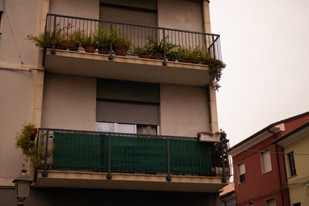 Close-up view of a small elegant balcony with beautiful and exotic plants in flower pots. Typical architecture with windows and balcony with cactus.の写真素材