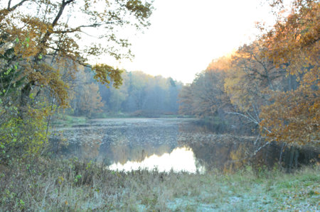 autumn lakeの写真素材