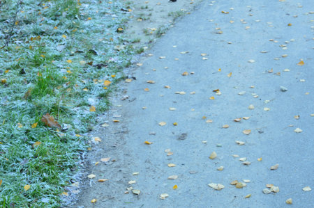 road autumnの写真素材