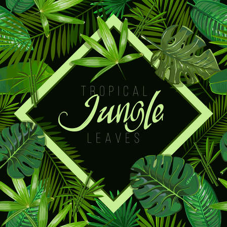Vector Seamless pattern with tropical leaves on black background.Nature illustration the inscription of Jungle in a rhombus.のイラスト素材