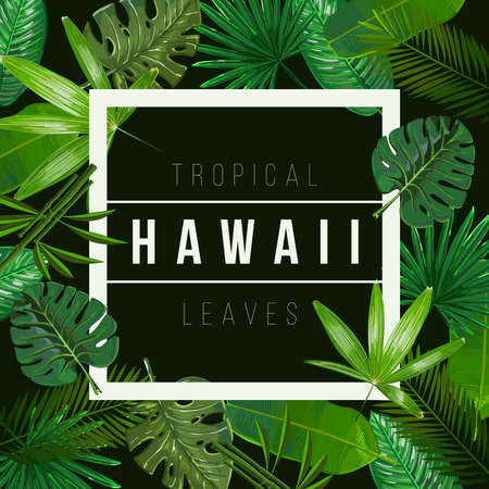 Vector Tropical leaves on black background.Nature illustration With the inscription of Hawaii.のイラスト素材