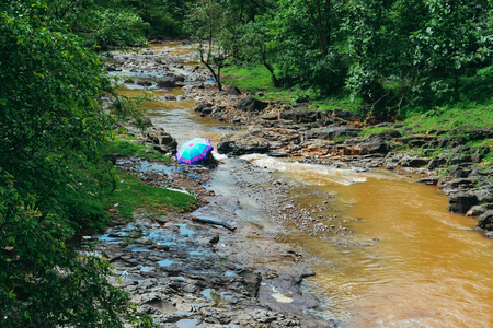 River Streamの写真素材